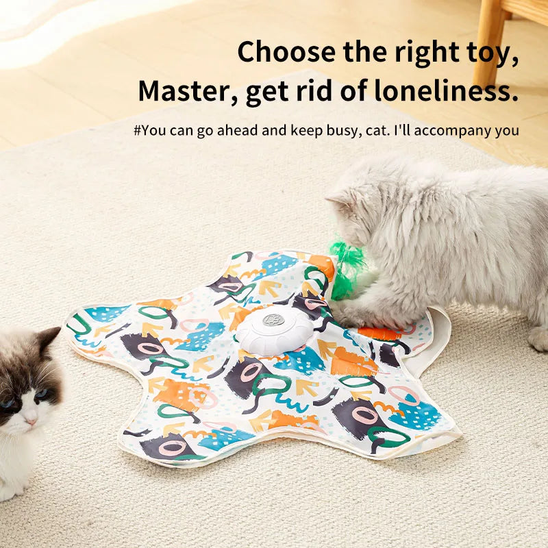 Hide & Seek Cat Toy