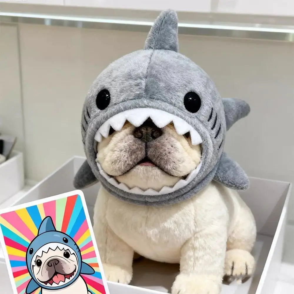 Shark Cat Hat