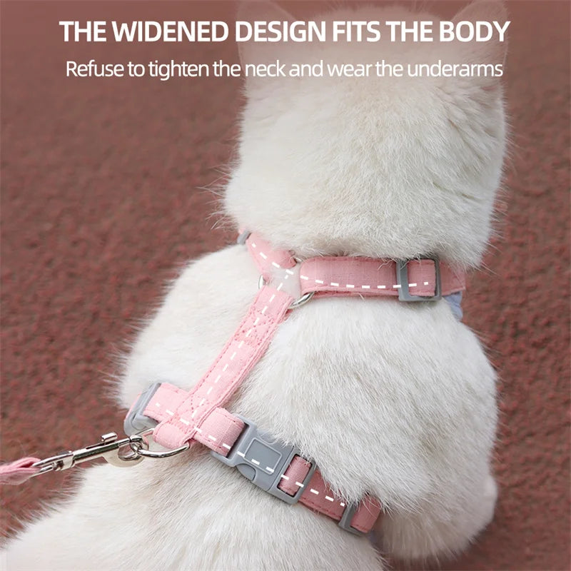 Soft Padded Cat Harness and Leash Set – Escape Proof Walking