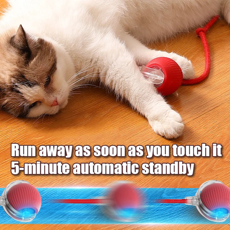 Auto Rolling Ball Cat Toy