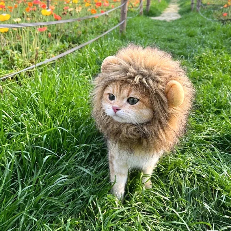 Lion Mane Cat Hat