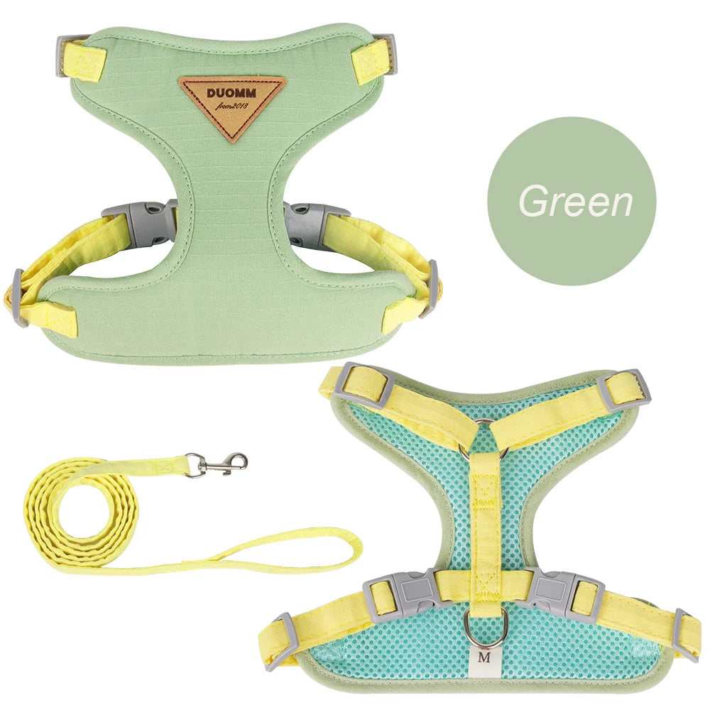 Soft Padded Cat Harness and Leash Set – Escape Proof Walking