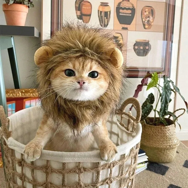 Lion Mane Cat Hat
