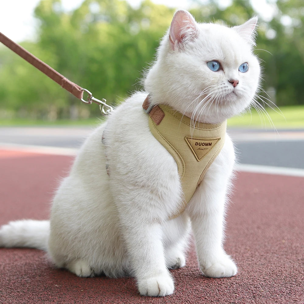 Soft Padded Cat Harness and Leash Set – Escape Proof Walking