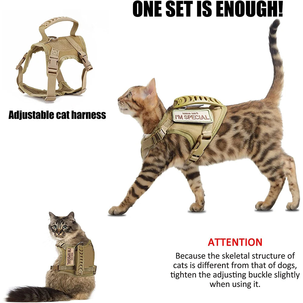 Tactical Cat Harness and Leash Set – Escape Proof Adjustable