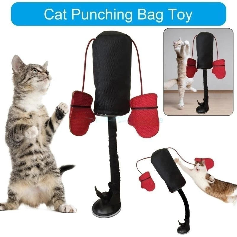 Cat Boxing Punching Bag Toy – Interactive Gloves Training for Cats