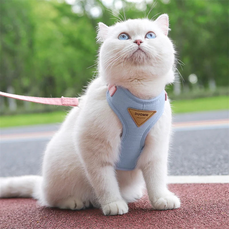 Soft Padded Cat Harness and Leash Set – Escape Proof Walking