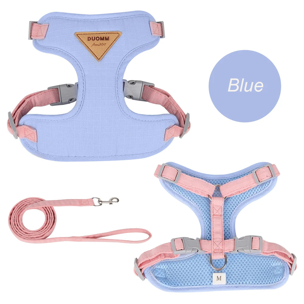 Soft Padded Cat Harness and Leash Set – Escape Proof Walking