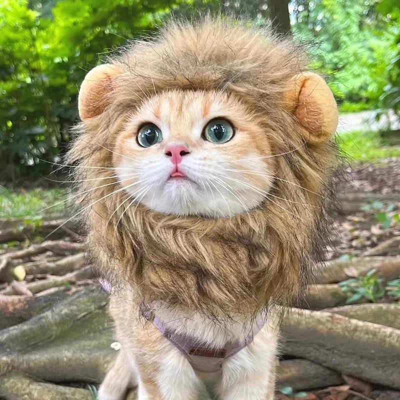 Lion Mane Cat Hat