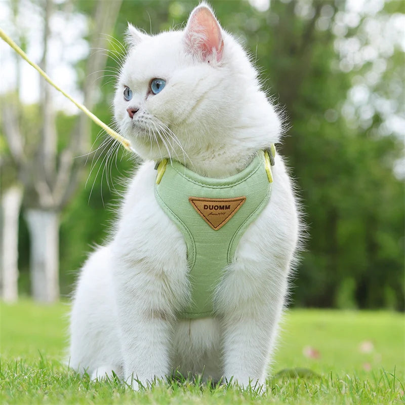 Soft Padded Cat Harness and Leash Set – Escape Proof Walking