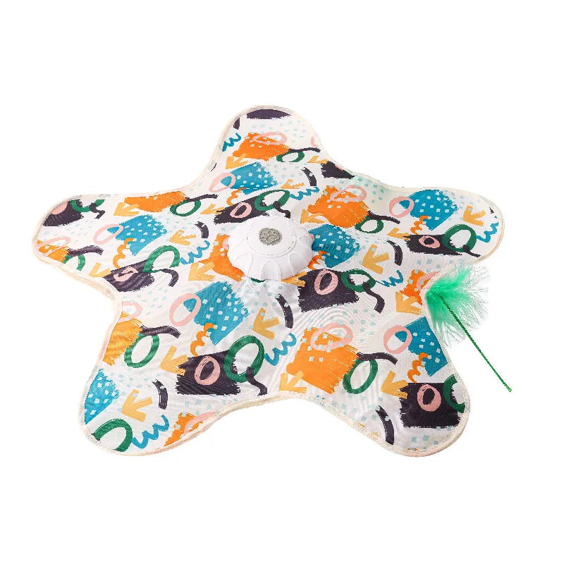Hide & Seek Cat Toy
