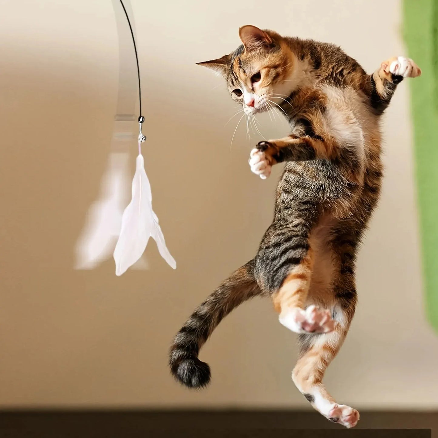 Feather Wand Cat Teaser