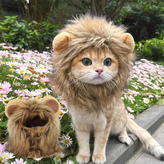 Lion Mane Cat Hat