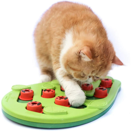 Cat Treat Puzzle Toy