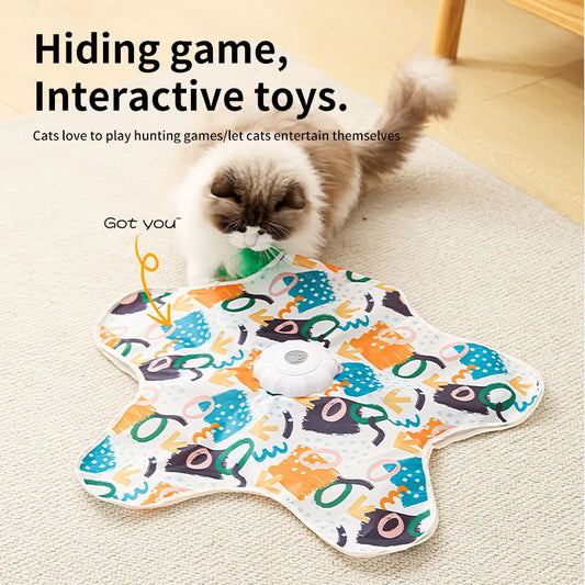 Hide & Seek Cat Toy