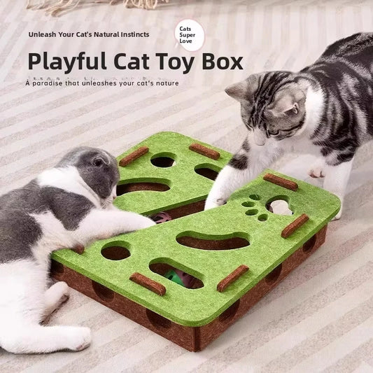Felt Puzzle Box Cat Toy