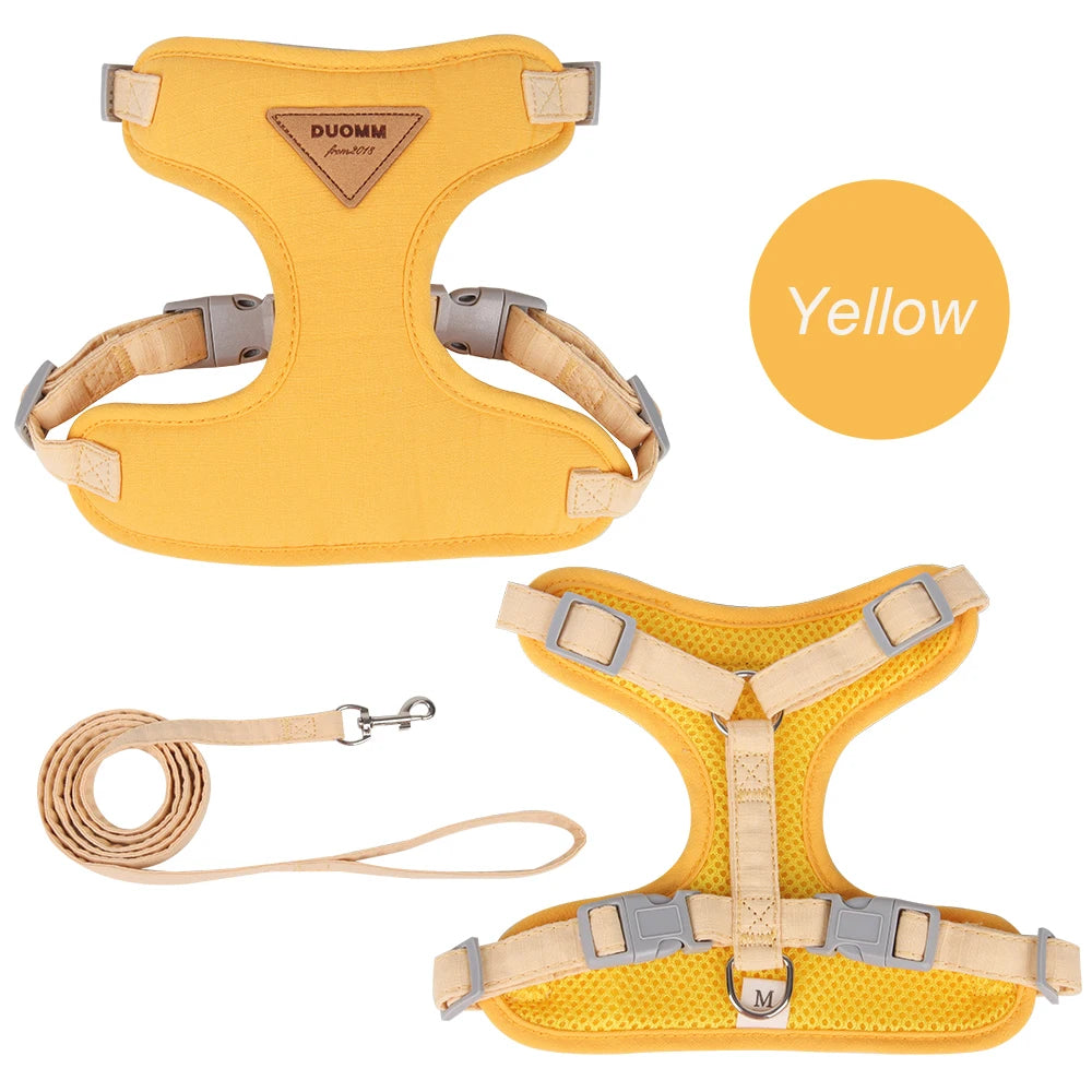 Soft Padded Cat Harness and Leash Set – Escape Proof Walking