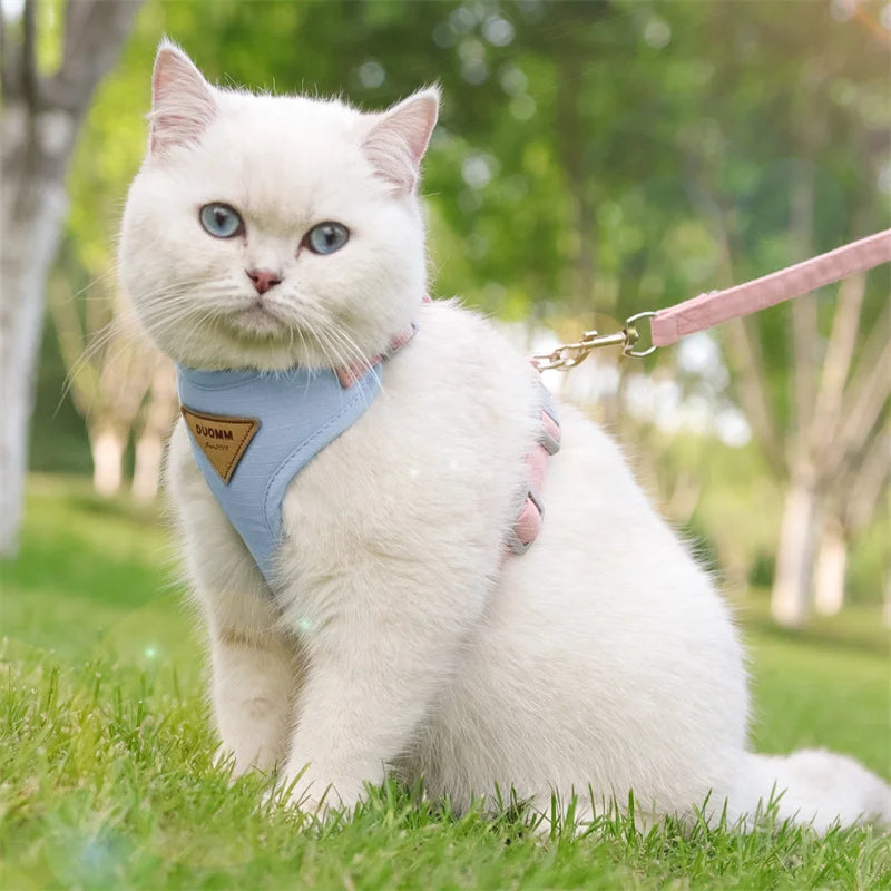 Soft Padded Cat Harness and Leash Set – Escape Proof Walking