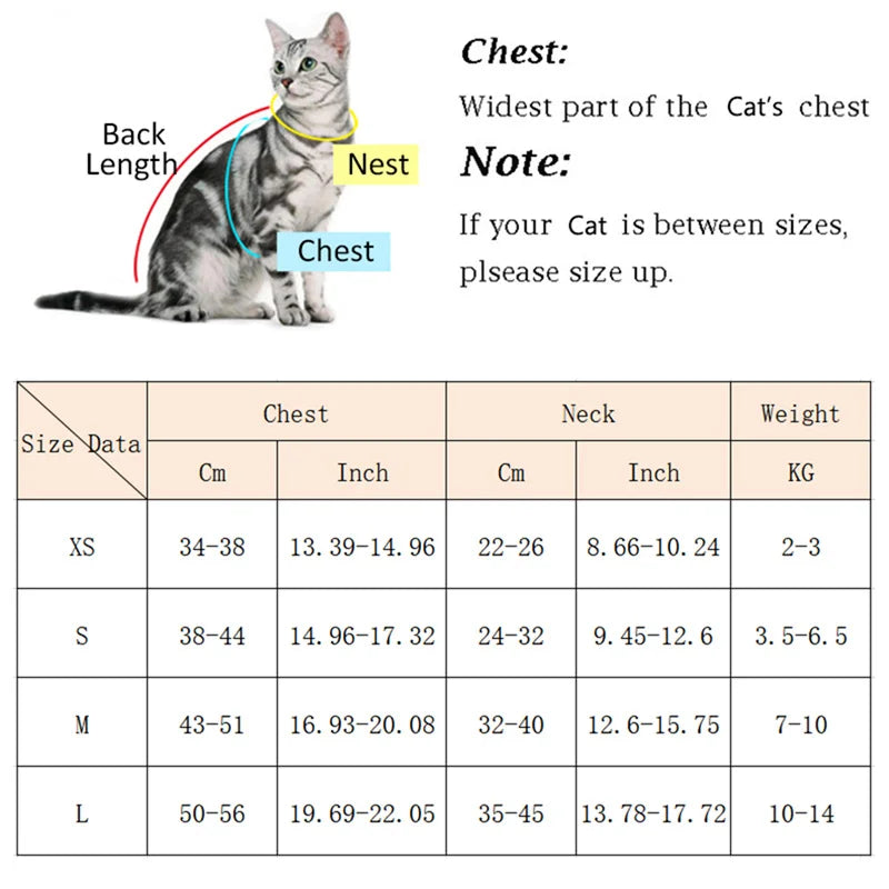 Soft Padded Cat Harness and Leash Set – Escape Proof Walking