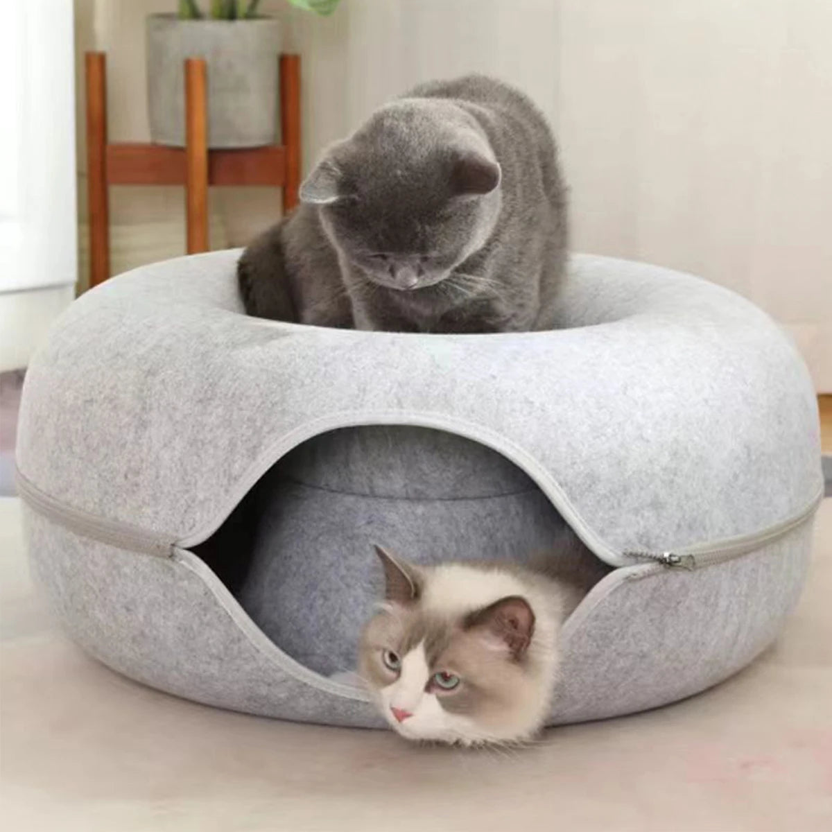Donut Tunnel Cat Bed