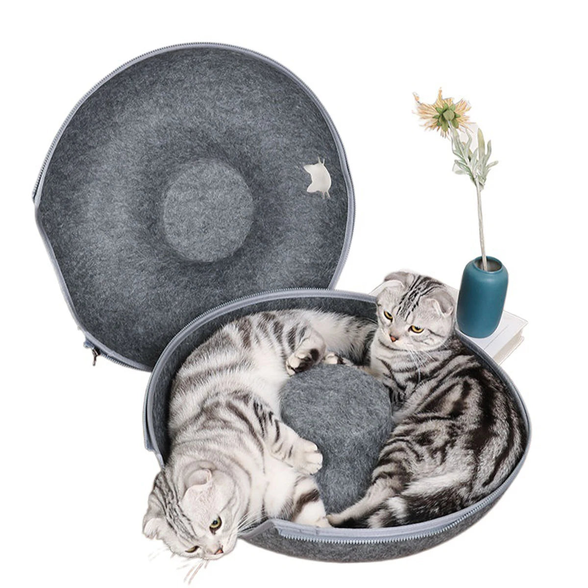 Donut Tunnel Cat Bed