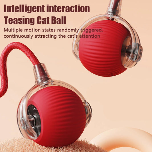 Auto Rolling Ball Cat Toy