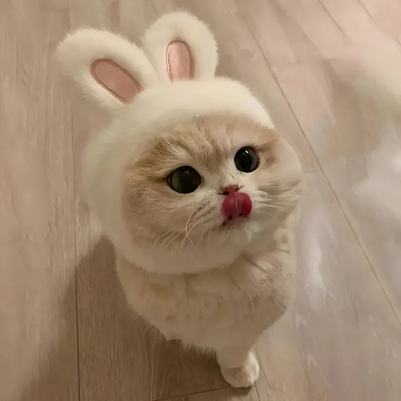 Bunny Ears Cat Hat