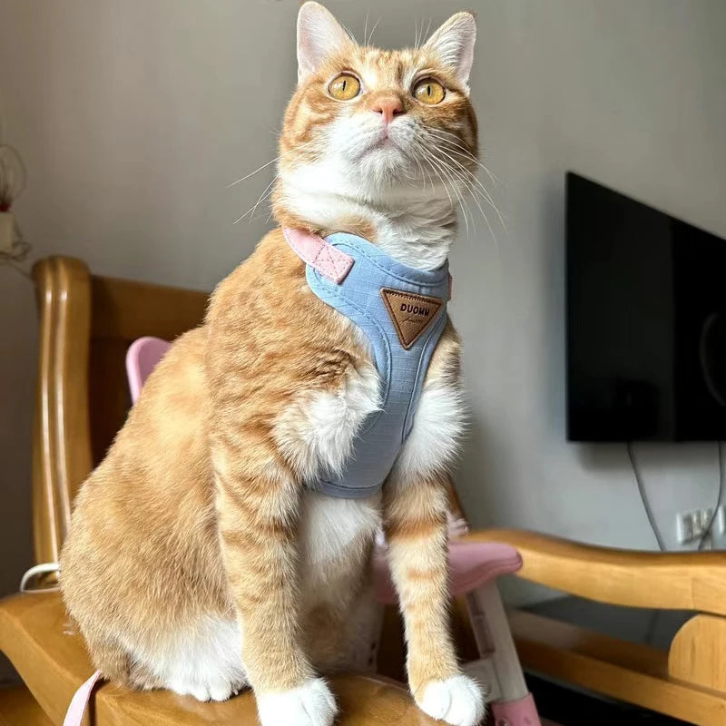 Soft Padded Cat Harness and Leash Set – Escape Proof Walking