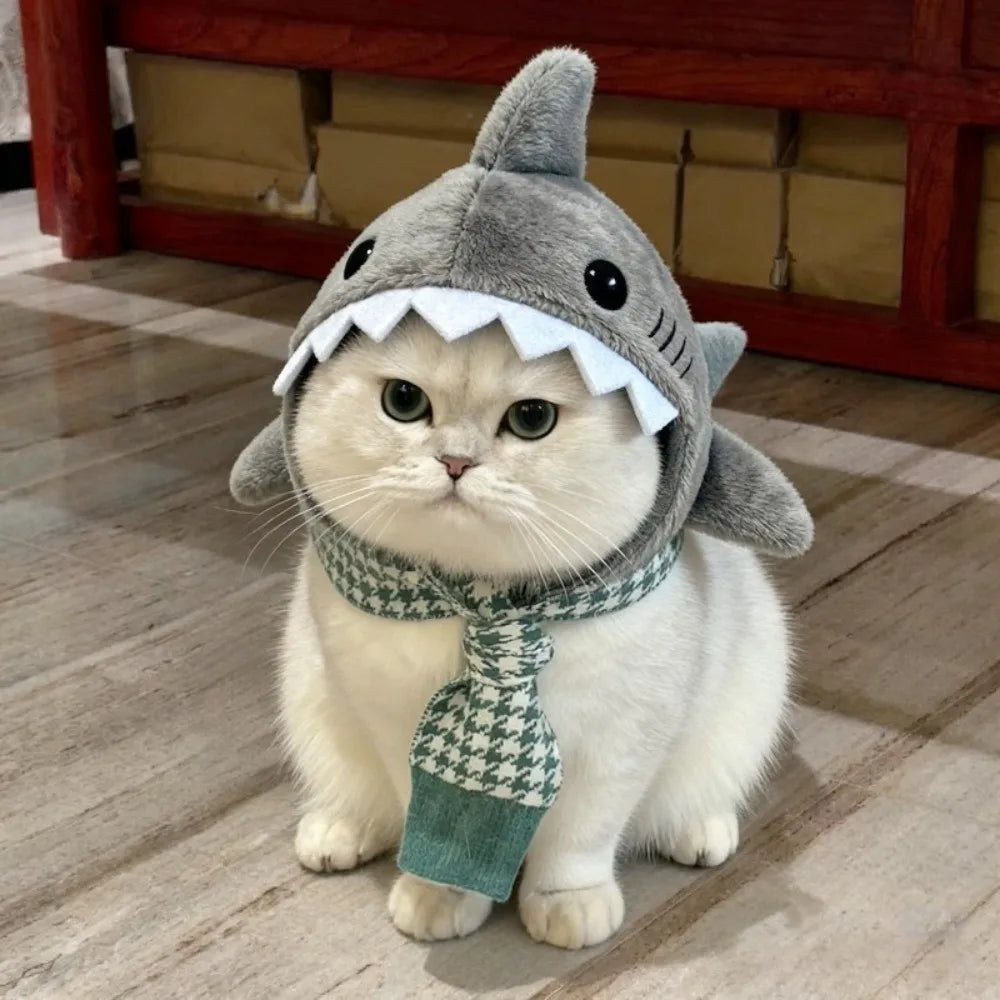 Shark Cat Hat