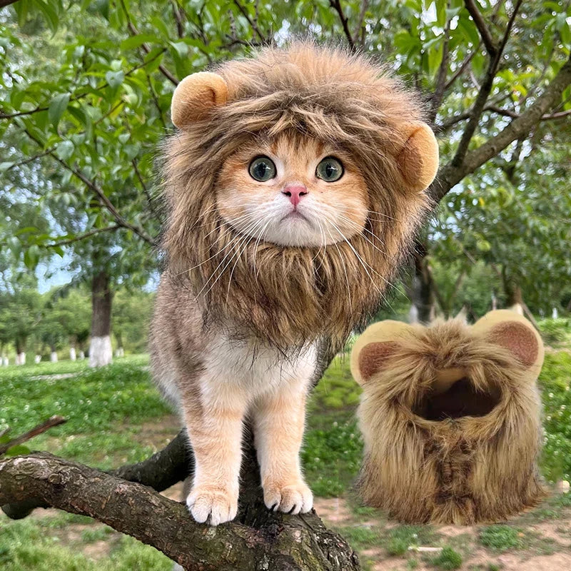Lion Mane Cat Hat
