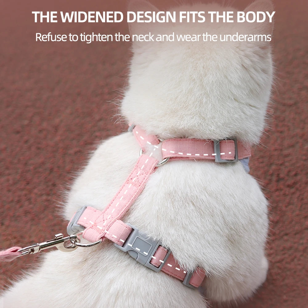 Soft Padded Cat Harness and Leash Set – Escape Proof Walking