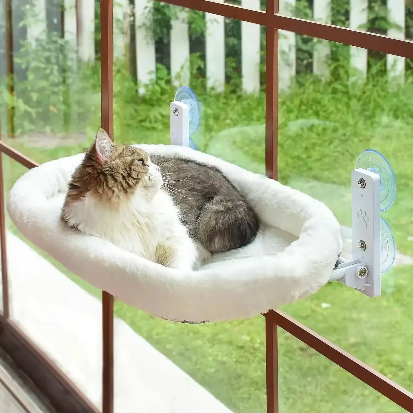 Window Cat Hammock – Suction Cup Perch for Sunbathing Cats