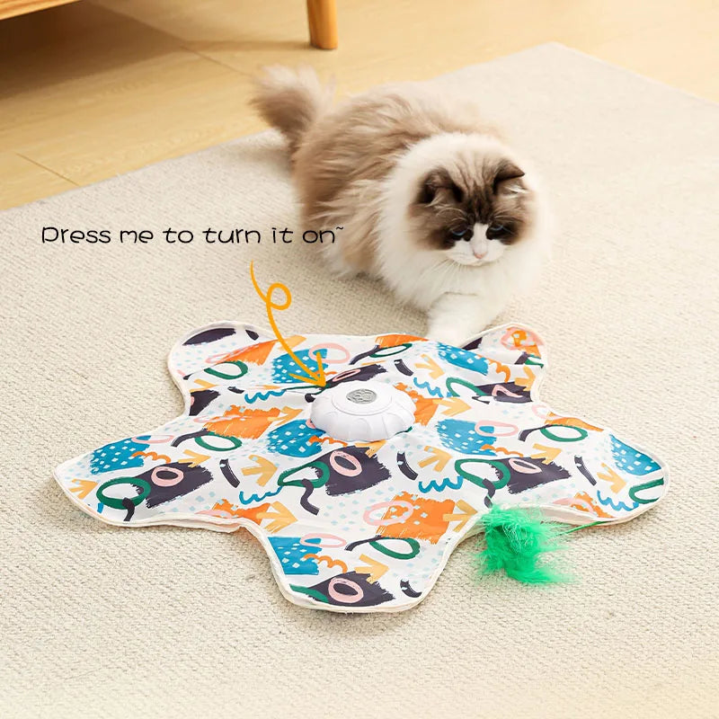 Hide & Seek Cat Toy