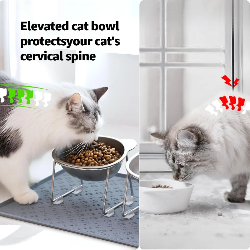 Tilted Stainless Cat Bowl