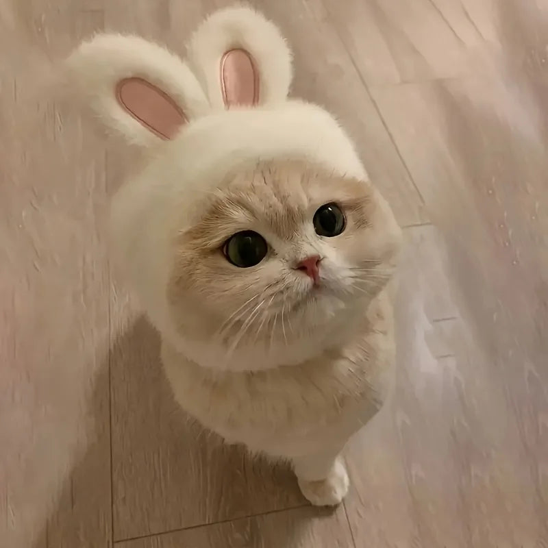 Bunny Ears Cat Hat