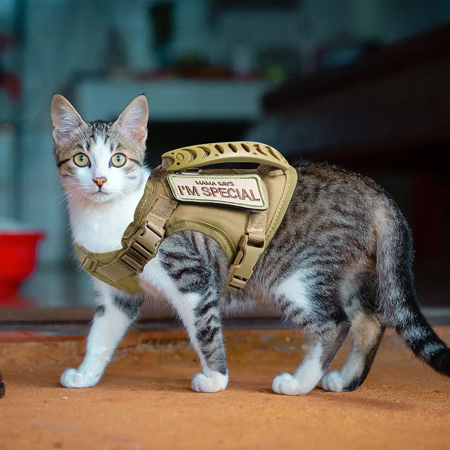 Tactical Cat Harness and Leash Set – Escape Proof Adjustable