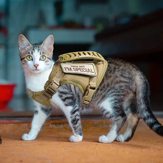 Tactical Cat Harness and Leash Set – Escape Proof Adjustable