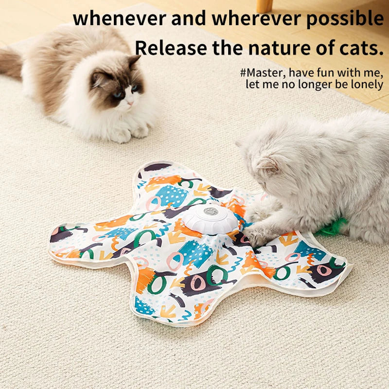 Hide & Seek Cat Toy