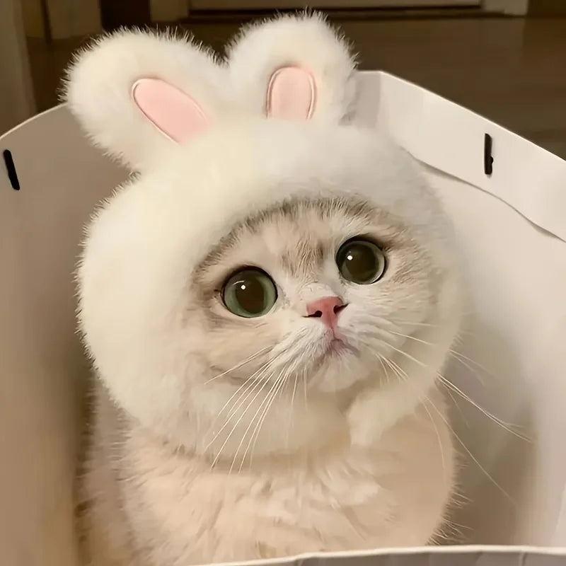 Bunny Ears Cat Hat