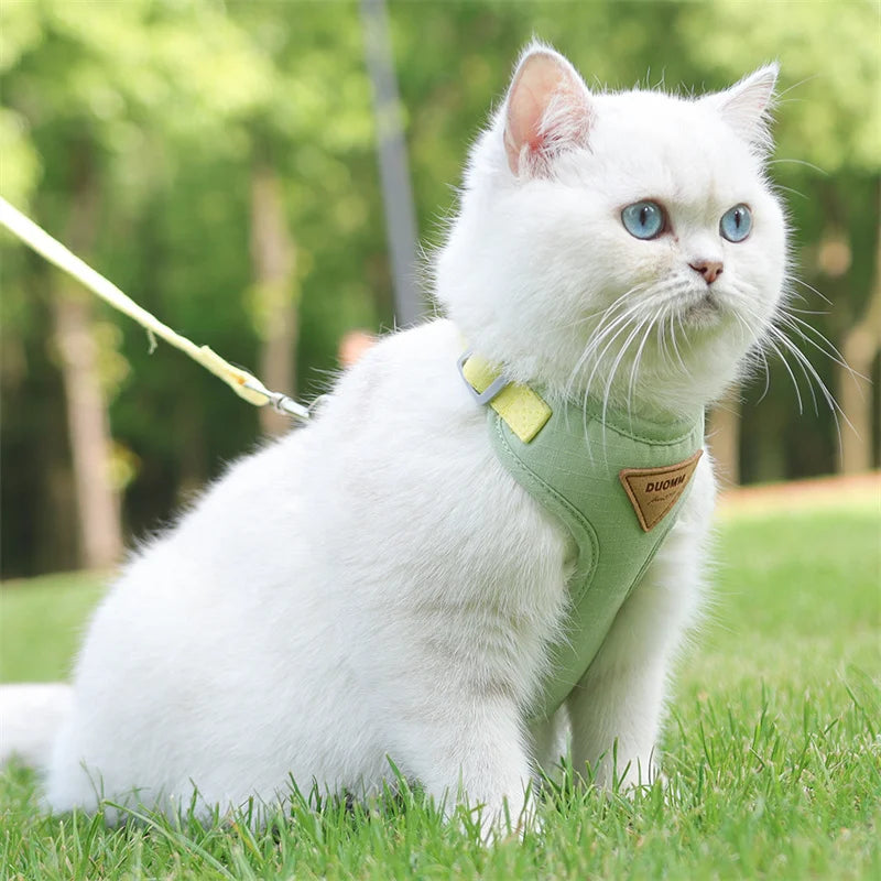 Soft Padded Cat Harness and Leash Set – Escape Proof Walking