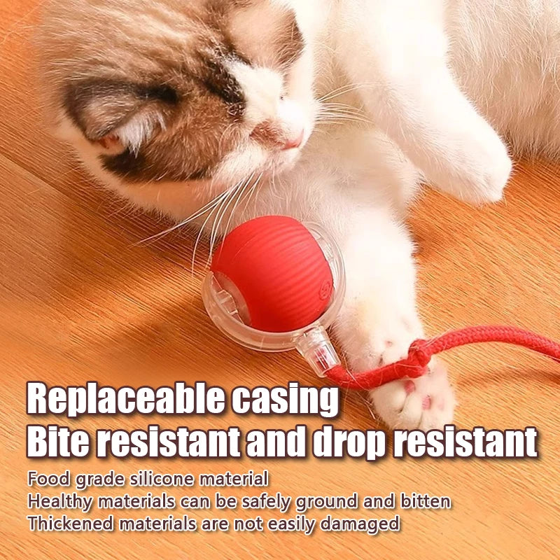 Auto Rolling Ball Cat Toy