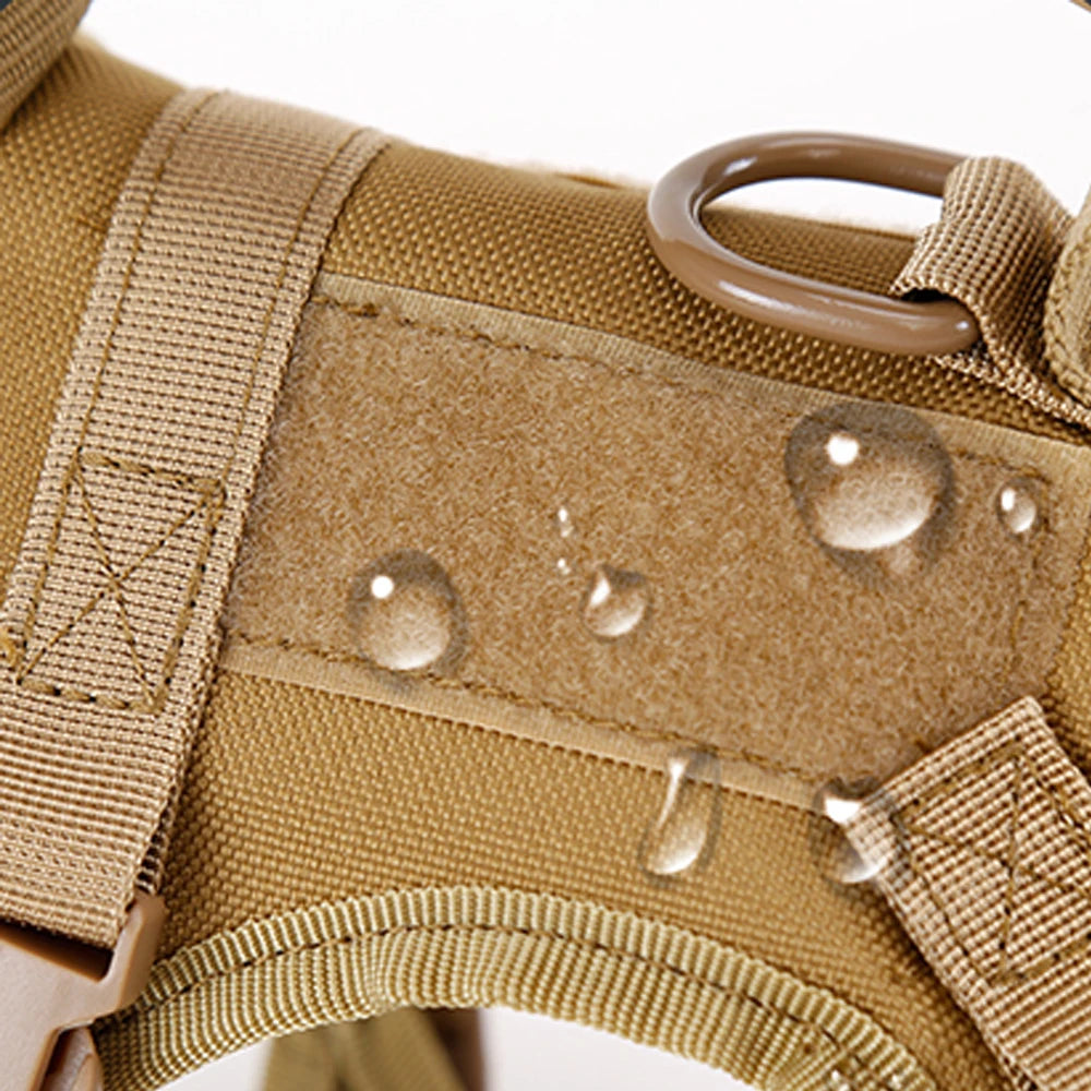 Tactical Cat Harness and Leash Set – Escape Proof Adjustable