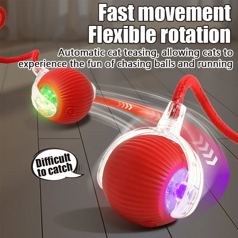 Auto Rolling Ball Cat Toy