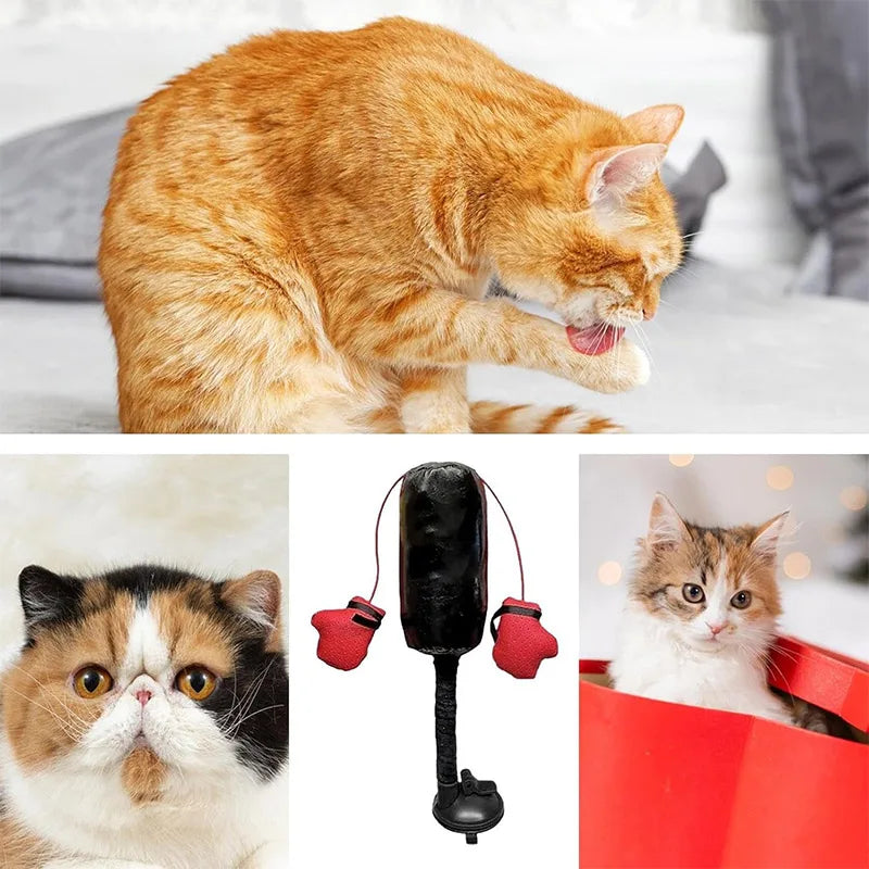 Cat Boxing Punching Bag Toy – Interactive Gloves Training for Cats