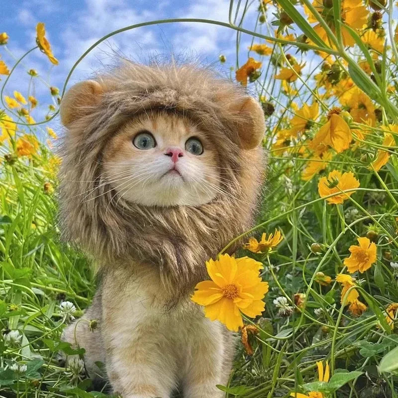 Lion Mane Cat Hat