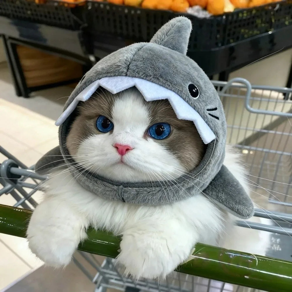 Shark Cat Hat